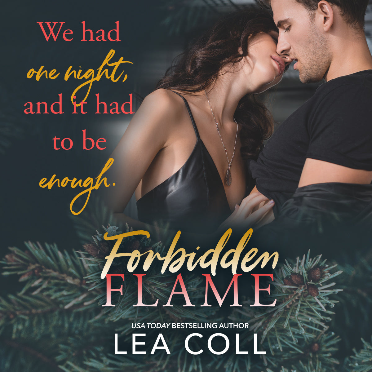 Forbidden Flame Ebook