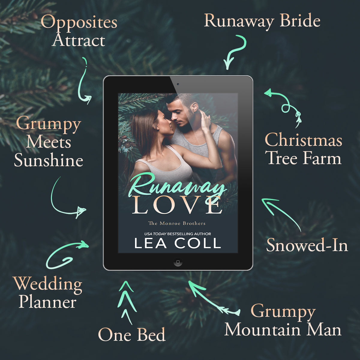 Runaway Love Ebook